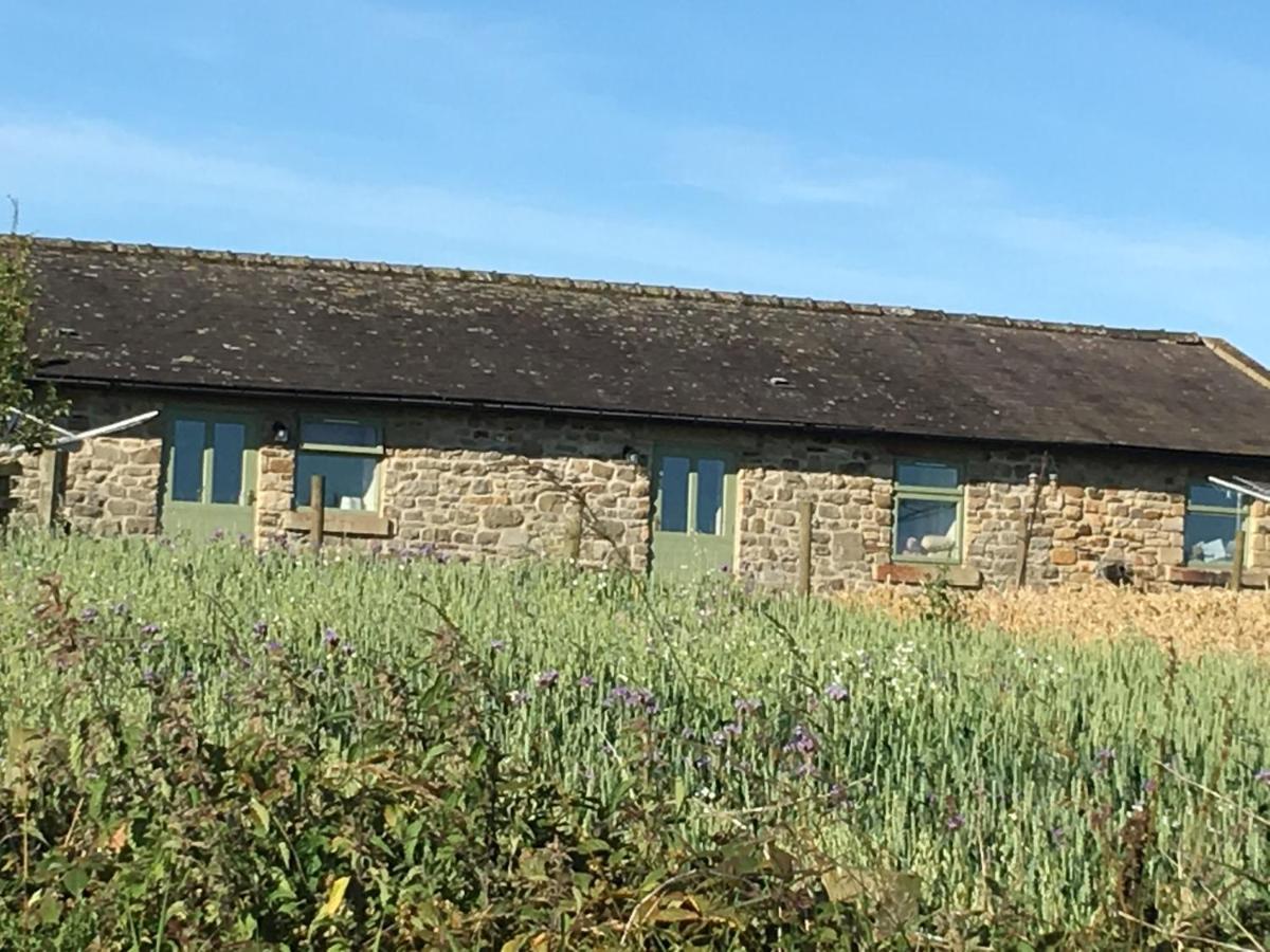 גטשהד Riding Farm Cottages מראה חיצוני תמונה